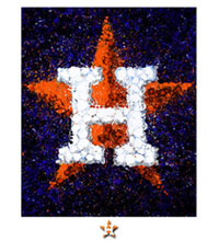 Houston Astros team logo fine art
