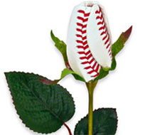 Long stem baseball-made rose