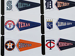 MLB Standings Board Project for Kids